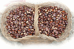 castagne